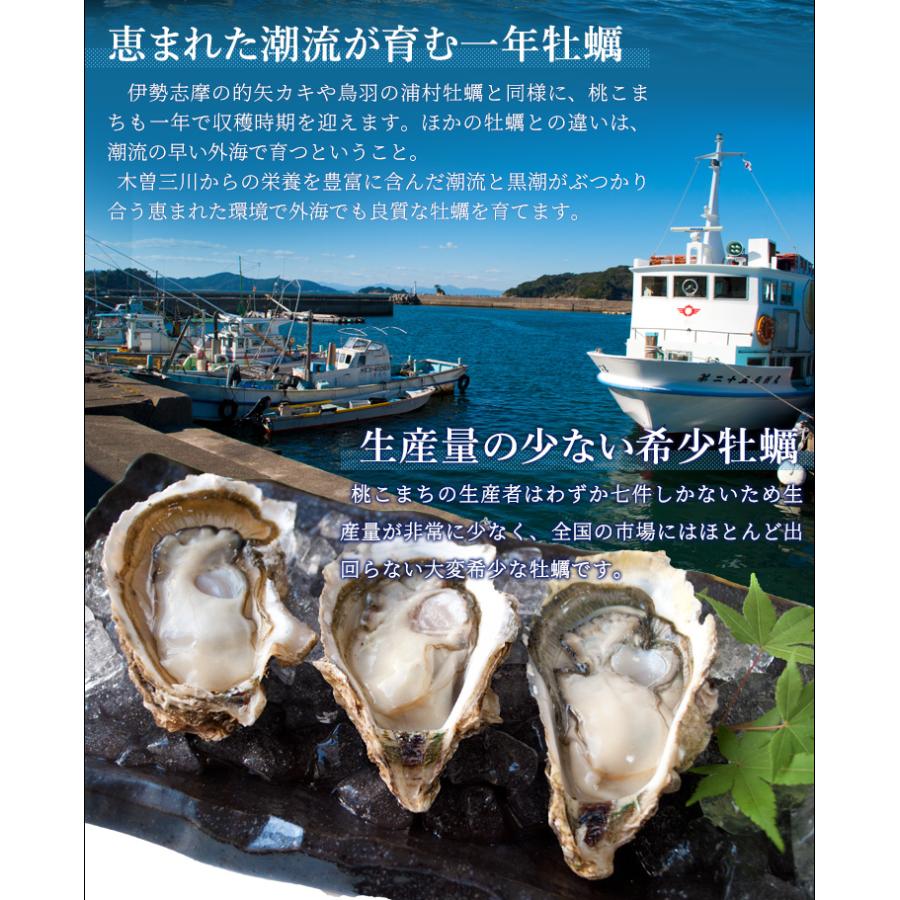 桃こまち 牡蠣 8
