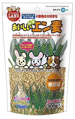 21年 うさぎのおやつのおすすめ人気ランキング10選 Mybest