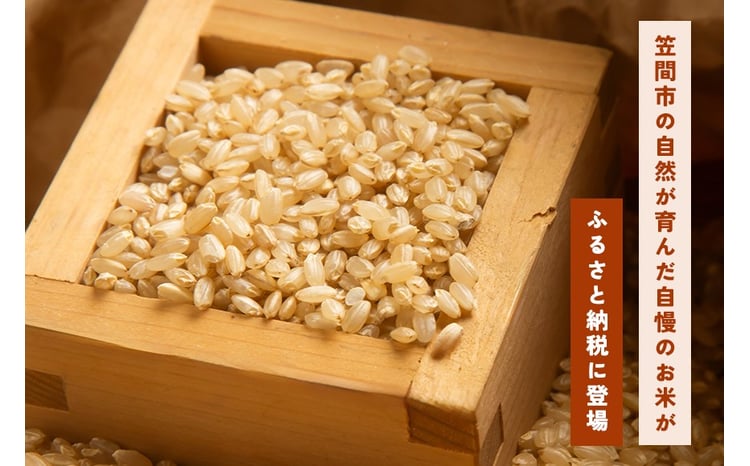 玄米 にじのきらめき 2