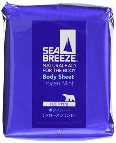 アイスタイプ　ボディシート　フローズンミント 3