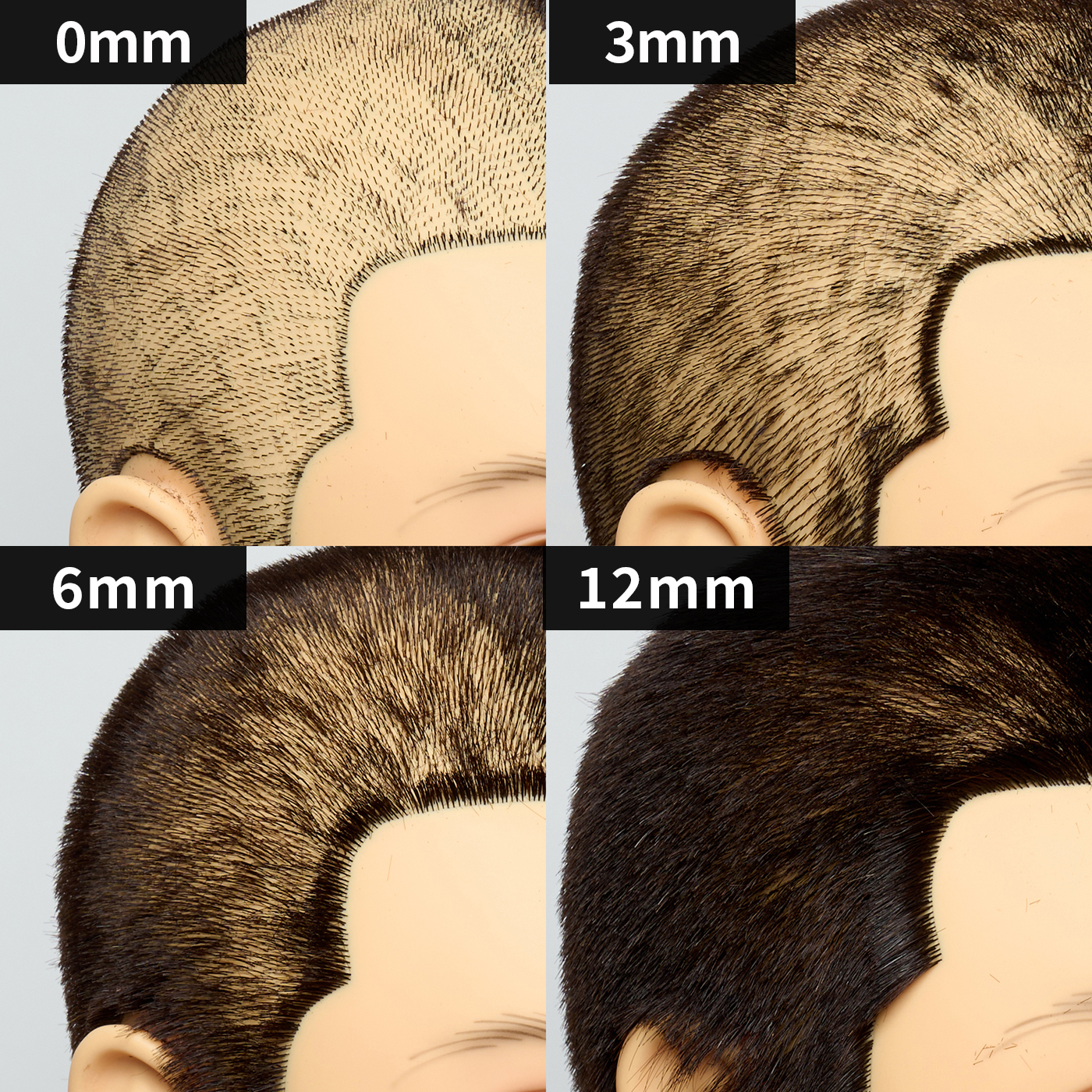 ファミリーヘアーカッター 8