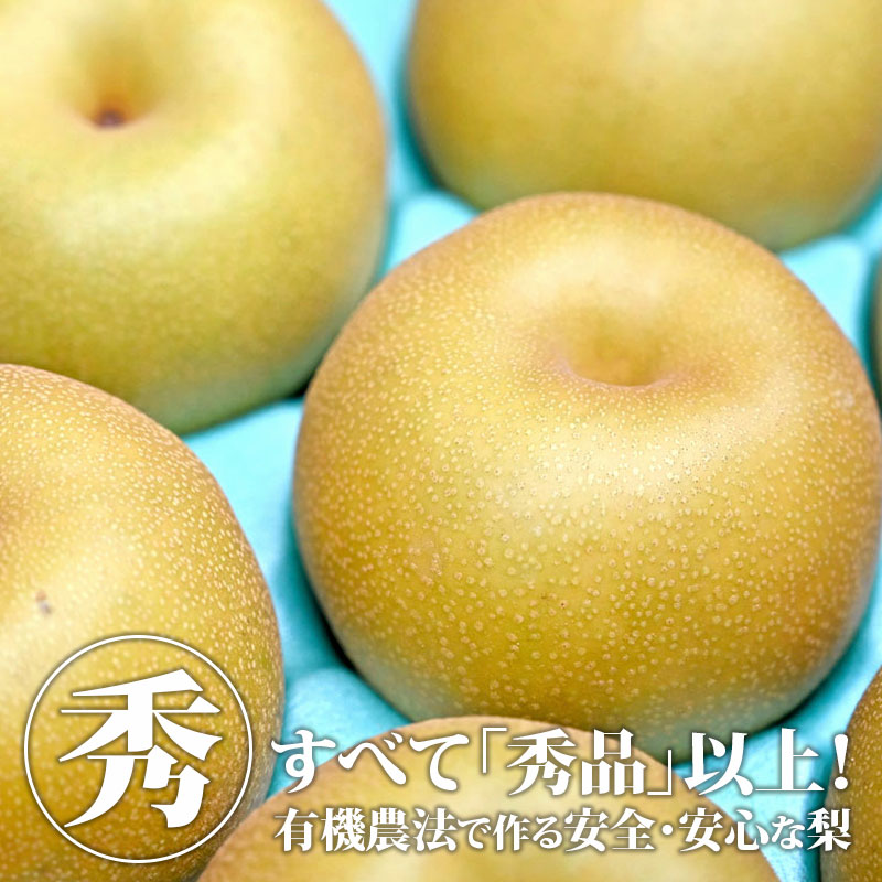 21年 通販で買える梨のおすすめ人気ランキング10選 Mybest