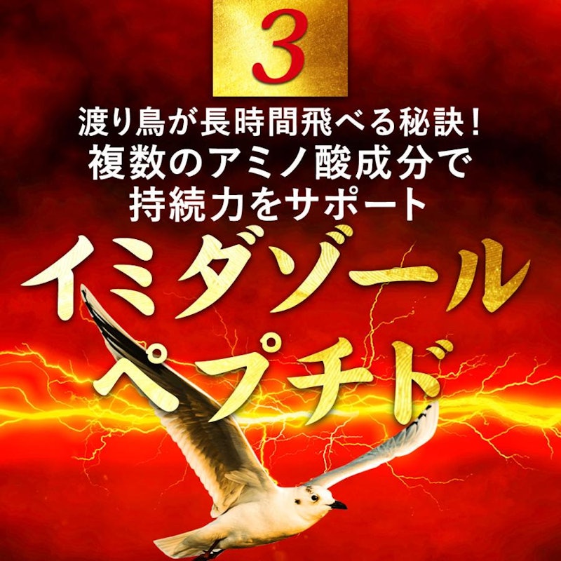 闘王(ファイターキング) 4