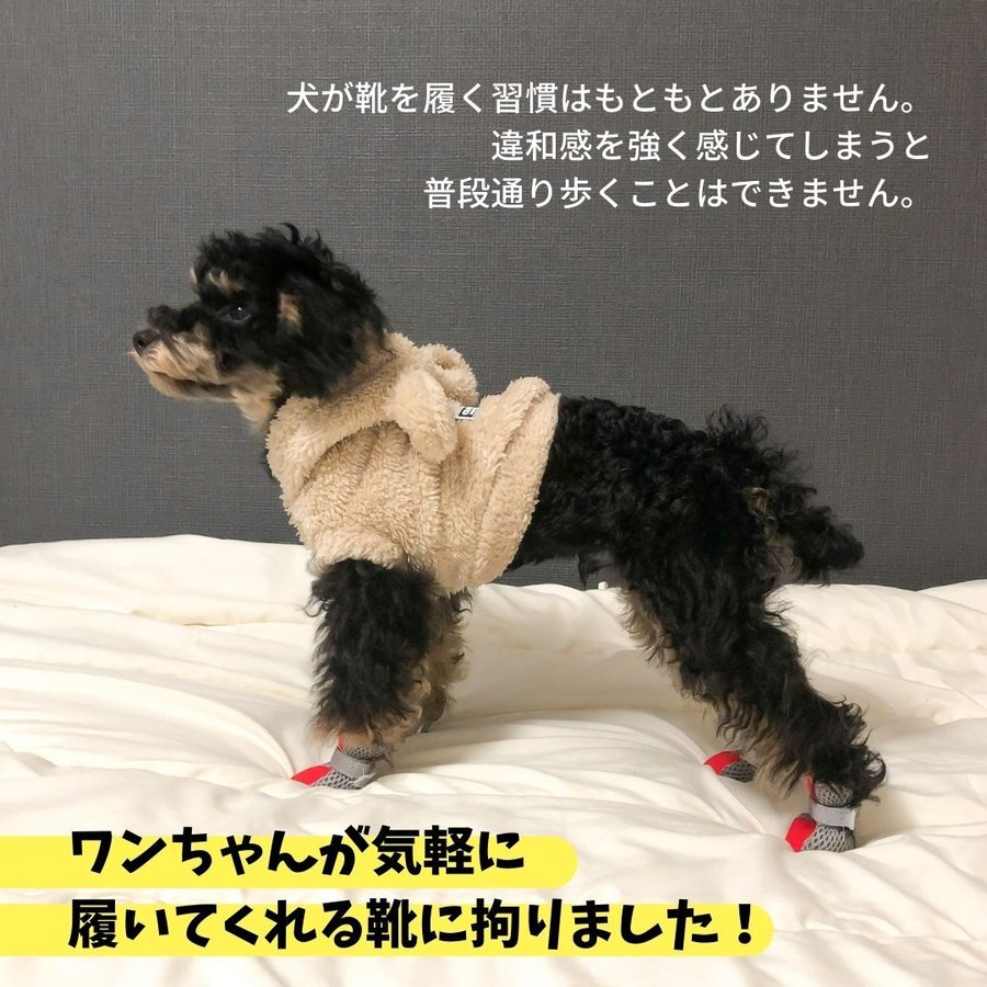 2022年】犬用靴・靴下のおすすめ人気ランキング15選 | mybest 2022年】犬用靴・靴下のおすすめ人気ランキング15選 | mybest