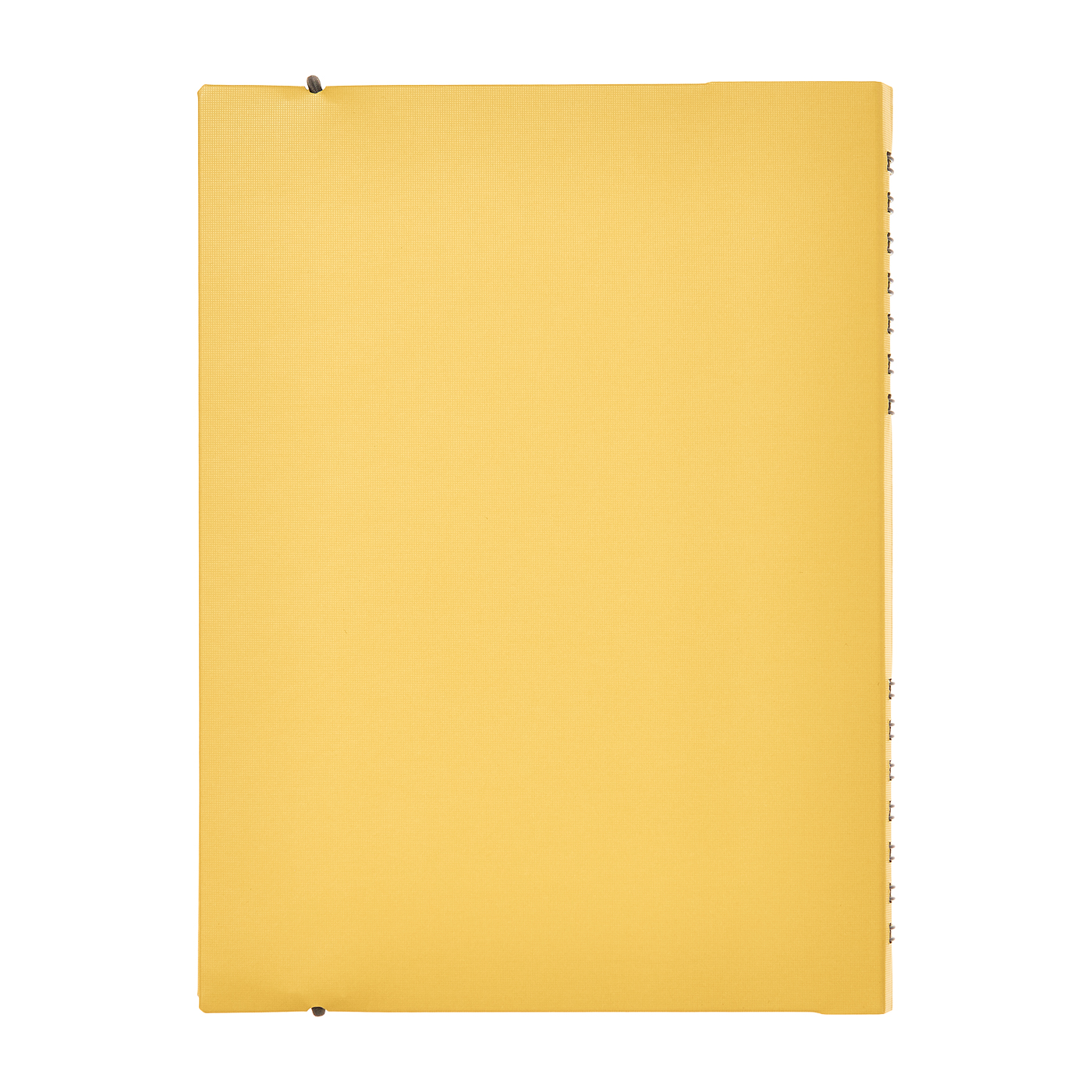 SUNNY NOTE 2