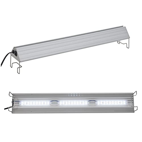 TRIANGLE LED VIVID 600 1
