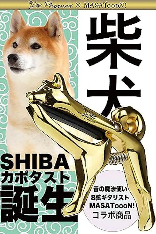 柴犬 カポタスト 2
