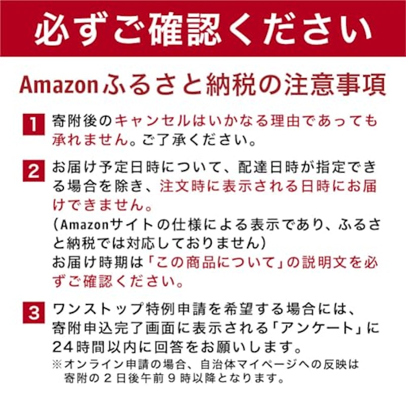 石垣島産マンゴー 2