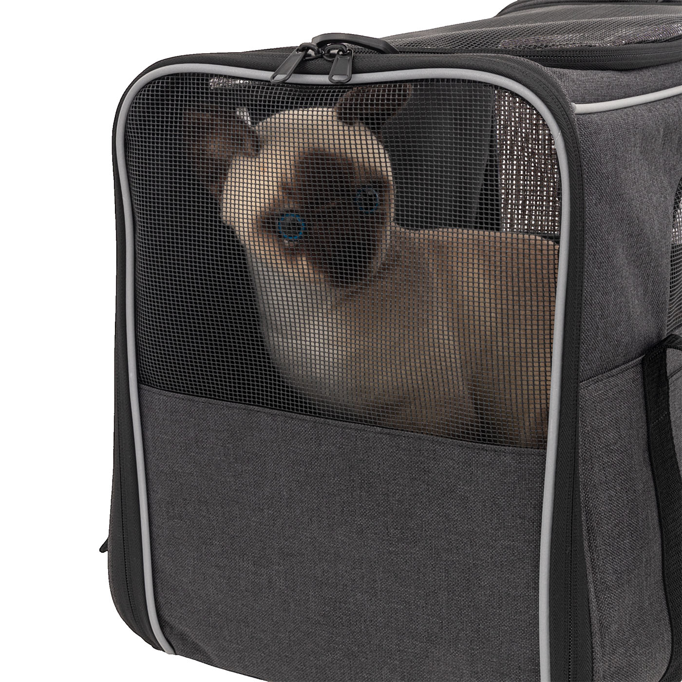 Morpilot ペットキャリーバッグ 4wayの口コミ・評判は？実際に使って