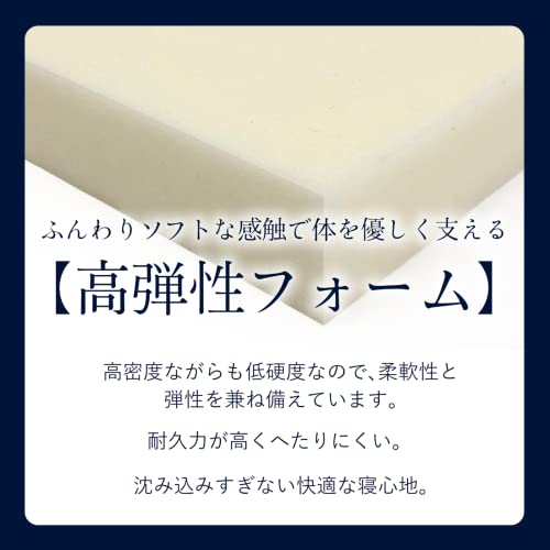 ポスチャーベーシック 7.7 F1Pソフト 4