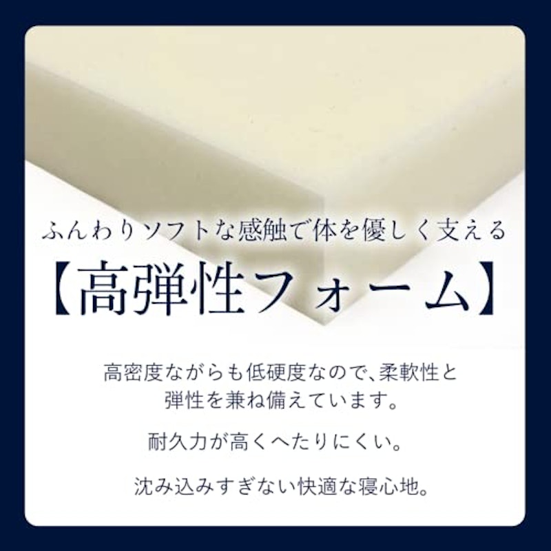 ポスチャーベーシック 7.7 F1Pソフト 4
