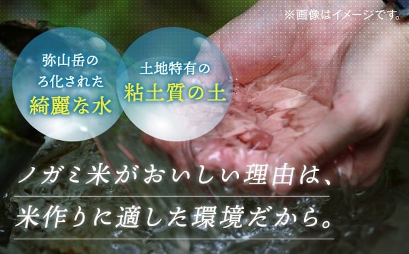 ノガミファームの玄米 3