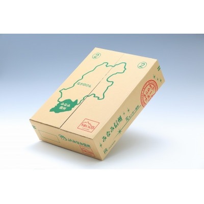南信州産 桃 あかつき 訳あり 2