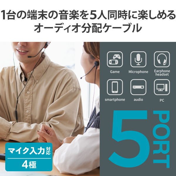 オーディオ分配アダプター（5分配） 2