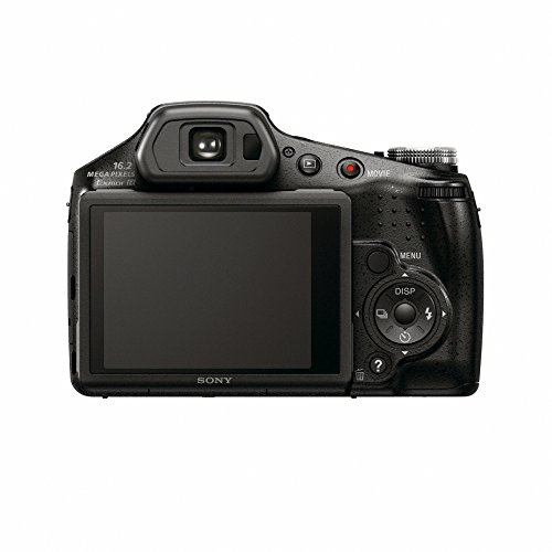 DSC-HX100V 5