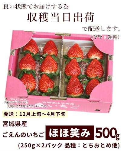 ごえんのいちご ほほ笑み 5