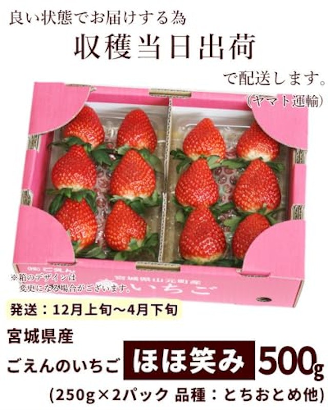 ごえんのいちご ほほ笑み 5