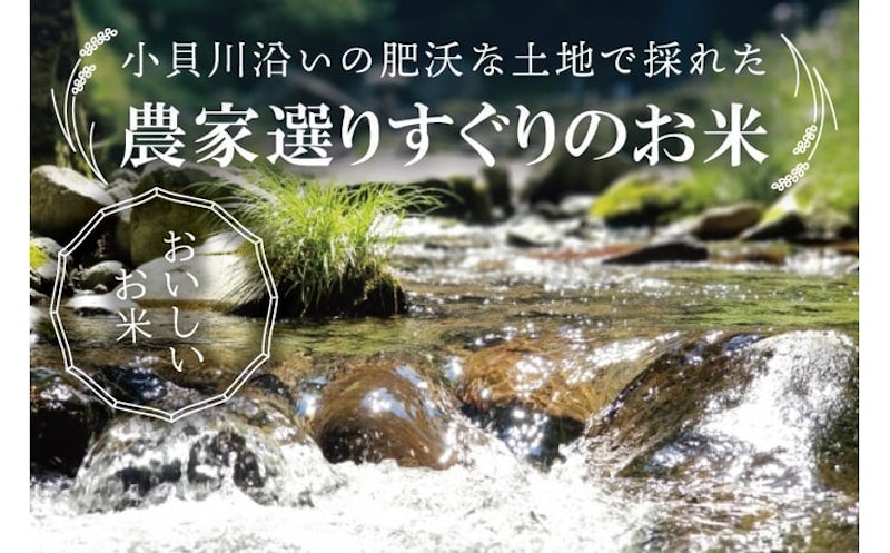 取手市産コシヒカリ 玄米 4