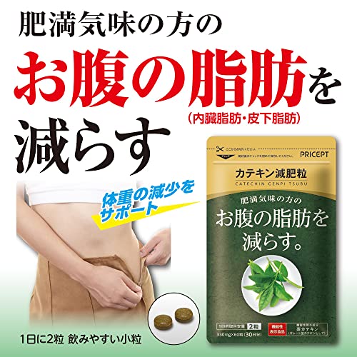 カテキン減脂粒 62粒入り×3袋 カテキン減脂粒 62粒