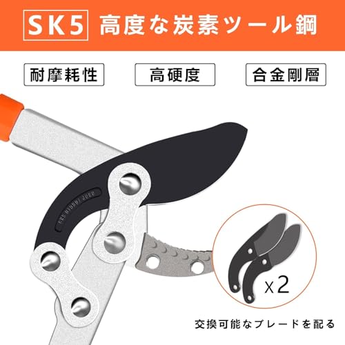 剪定バサミ 6