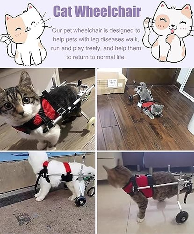 猫用車椅子 6