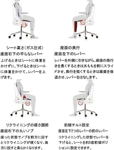 セイルチェア 5