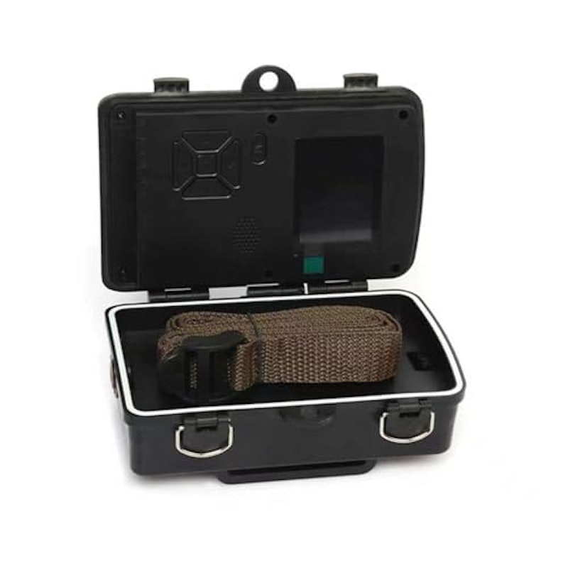 トレイルカメラ 5