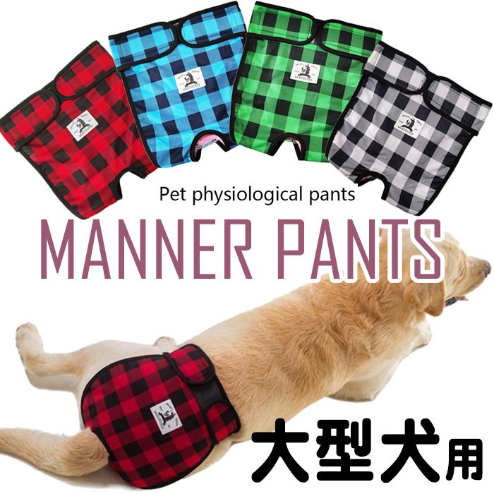 犬用サニタリーパンツ 1