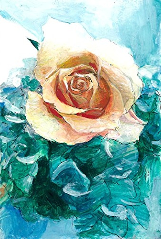 透明水彩絵具 2