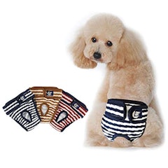 22年 犬用サニタリーパンツのおすすめ人気ランキング選 Mybest 22年 犬用サニタリーパンツのおすすめ人気ランキング選 Mybest