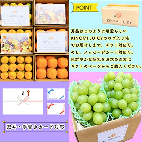 和歌山県産 不知火 4