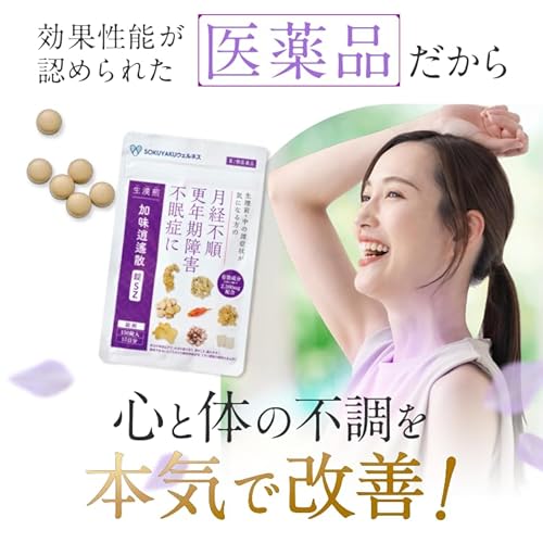 生漢煎 加味逍遙散錠SZ 3