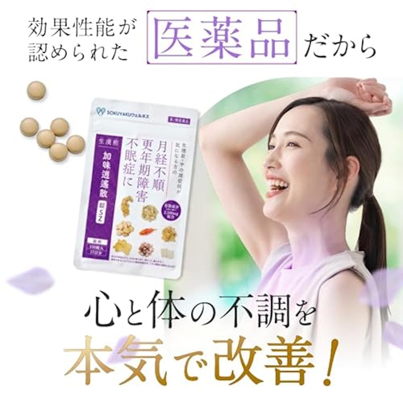 生漢煎 加味逍遙散錠SZ 3
