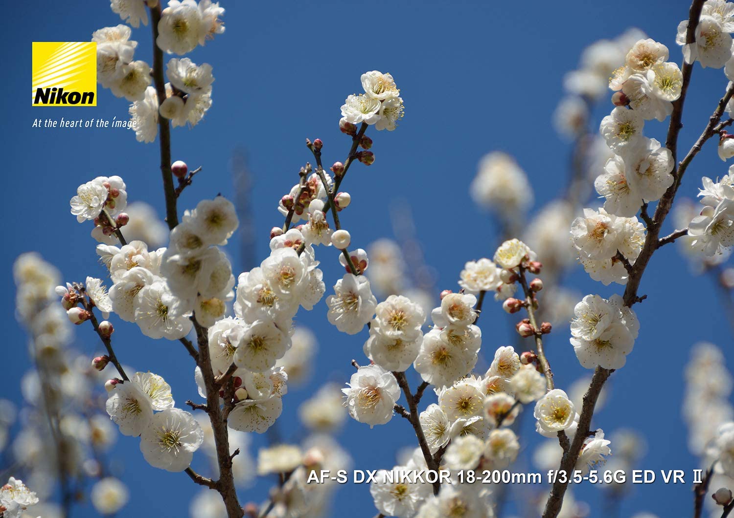 AF-S DX NIKKOR 18-200mm f/3.5-5.6G ED VR II 4