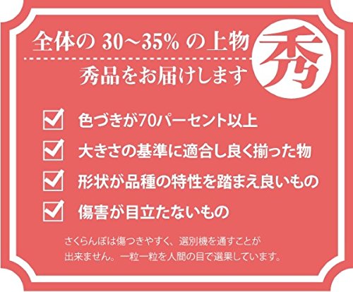 秀品 佐藤錦 3