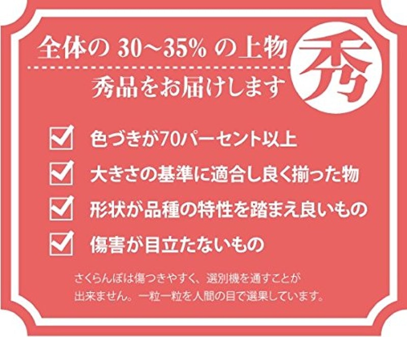 秀品 佐藤錦 3