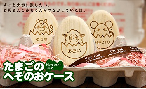 へその緒ケース 2
