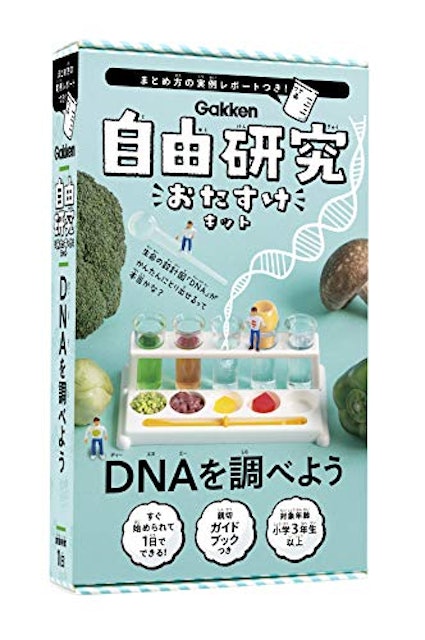 6年生自由研究 簡単 6年生自由研究 簡単