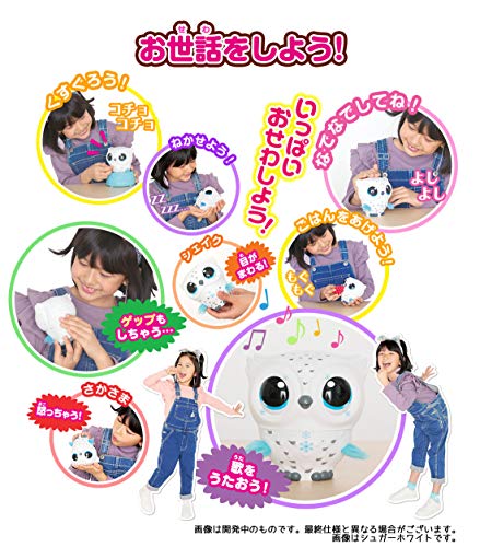 とんで！オウリー 5