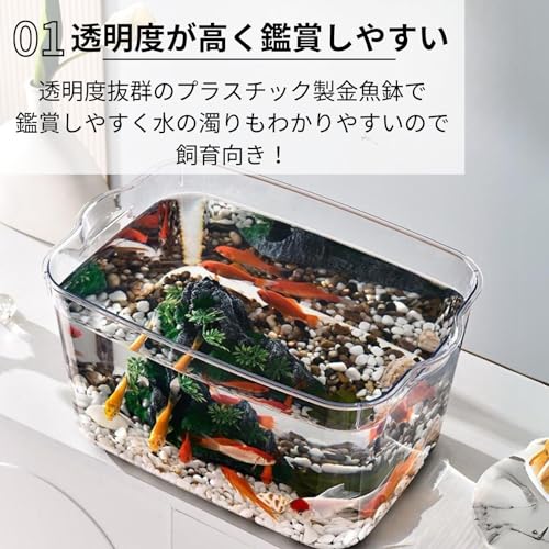 金魚鉢 4