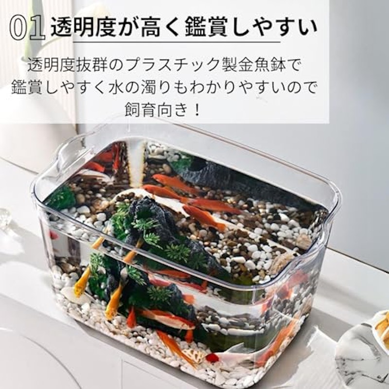 金魚鉢 4