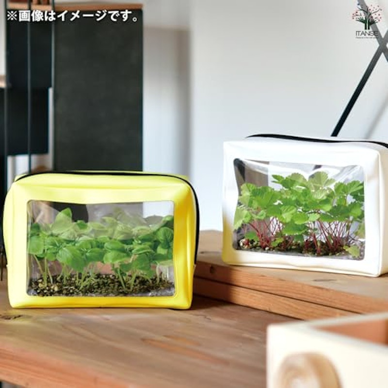 栽培セット 2