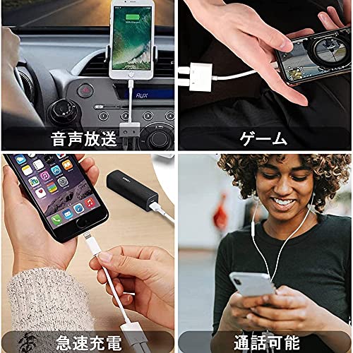 iPhoneイヤホン変換ケーブル 4