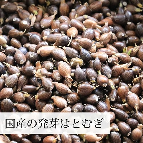 全粒発芽ハトムギ茶 2