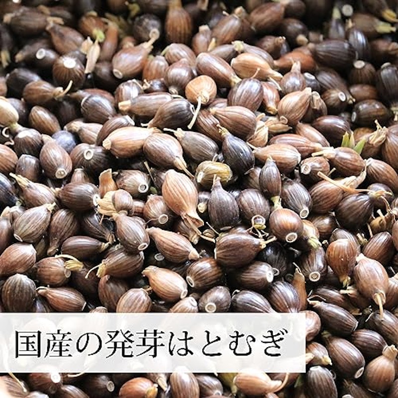 全粒発芽ハトムギ茶 2