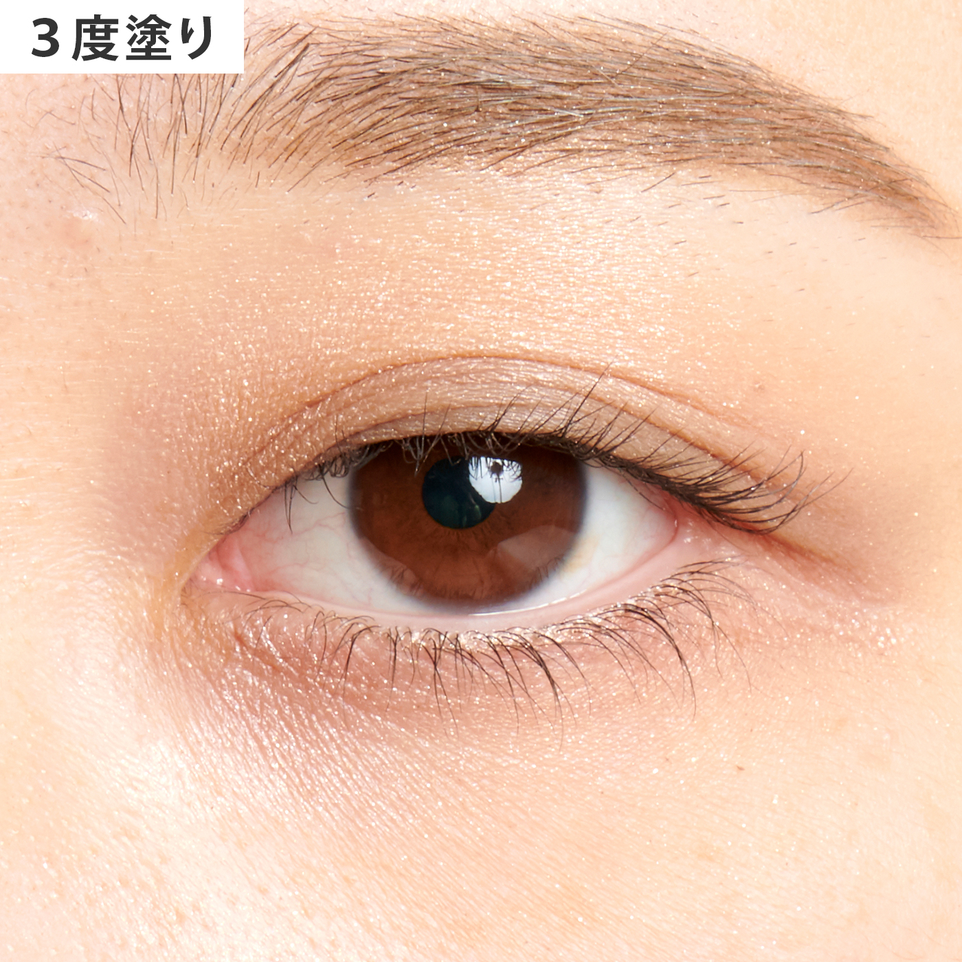 ブラシひと塗りシャドウN 8
