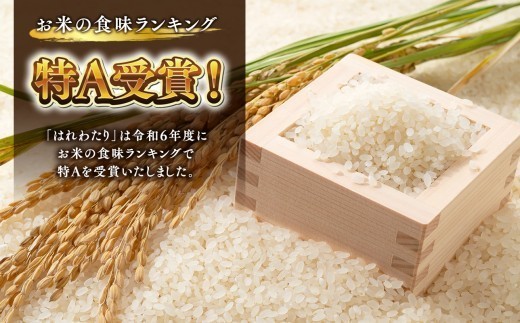 特別栽培米 はれわたり 玄米 2