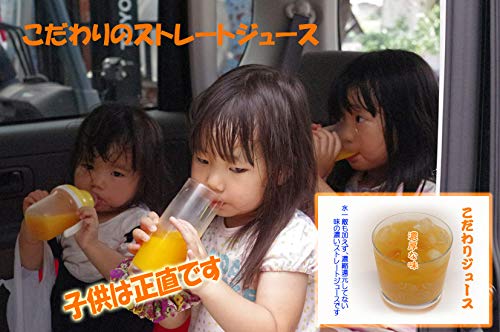 みかんジュース 6
