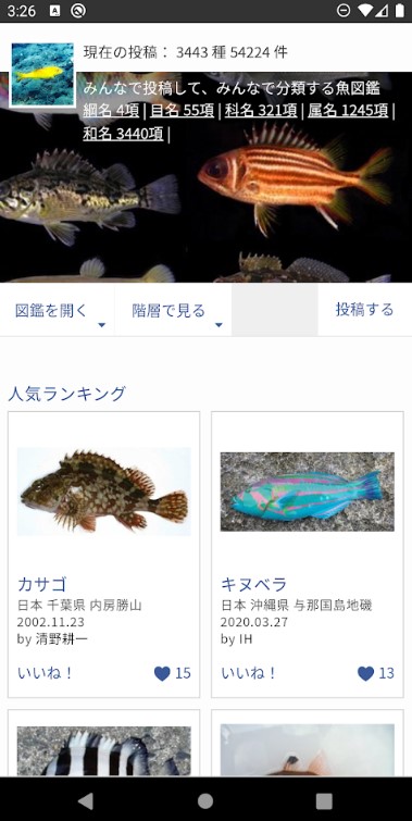 WEB魚図鑑 2