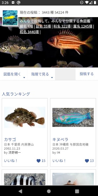 WEB魚図鑑 2